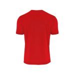 VC Sneek heren t-shirt Everton rood back