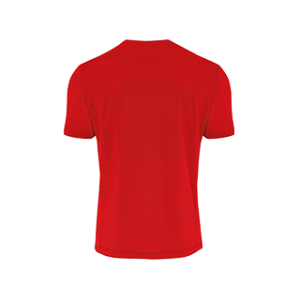 VC Sneek heren t-shirt Everton rood back