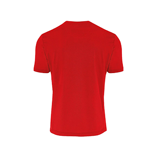 VC Sneek heren t-shirt Everton rood back