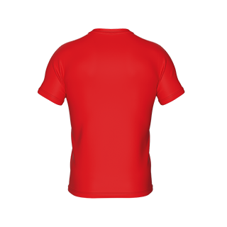 VC Sneek heren t-shirt Evo rood back