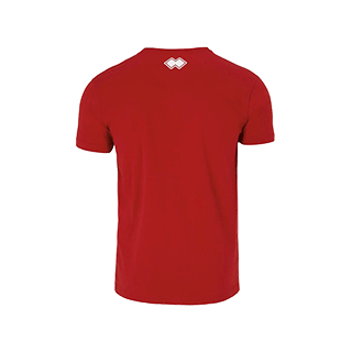 VC Sneek heren t-shirt Professional rood back